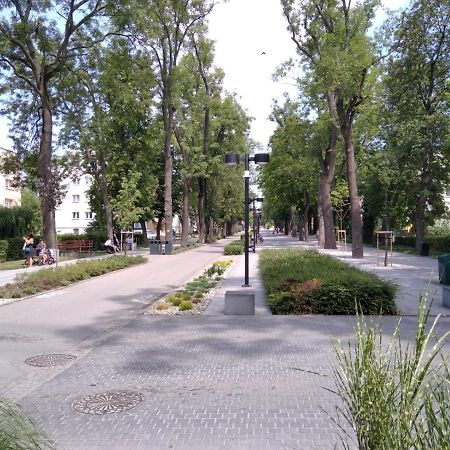 Apartament Zdroj Бусько-Здруй Екстер'єр фото